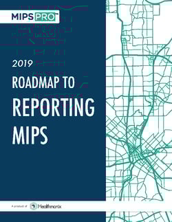 MIPS Roadmap 2019