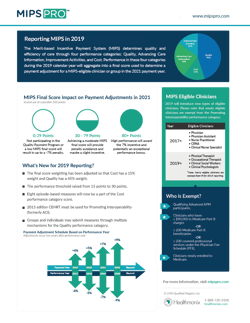 MIPSReporting2019